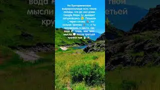 🗺️ Даже Google сюда идёт с перекурами 🚬. #shorts #nature #travel #outdoor