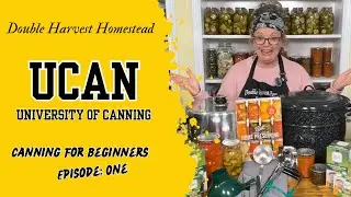 Canning for Beginners | Must-Have Supplies & Step-by-Step Guide to Get Started