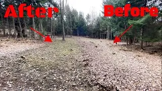 Maintaining Clover Food Plots In The Woods! *TIPS*