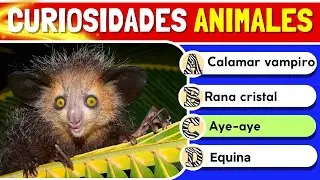 Curiosidades de ANIMALES 😱🦑🐍 &iquest;Cu&aacute;nto sabes del reino animal? 👀