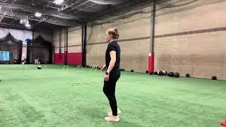 Single Leg Stance 3-way Reach