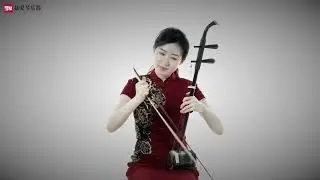 二胡名曲 赛马  賽馬 二胡博士刘宇演奏 Chinese musical instruments erhu