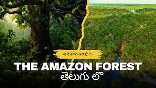 AMAZON FOREST | TELUGU | THINK DEEP WITH GMD|AMAZON FOREST TELUGU