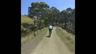 Great VIC Bike Ride 2024, Day 7, Mansfield to Alexandra