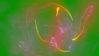 Green Screen Magic Effect Color Overlays Chroma Key Футаж Магия Волшебство Эффект