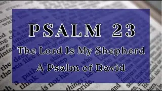 Psalm 23 (ESV) The Lord is My Shepherd &ndash; Peaceful Scripture Read Aloud | Female Voice - Audio Bible