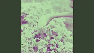 Bubbly Virtual Fantasy