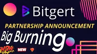 Bitgert Token Latest Update