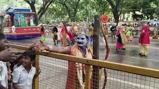 Mysore Dasara 2025 | Royal Elephant 🐘✨ | Karnataka Culture & Lights 🌸 #MysoreDasara #ElephantRally