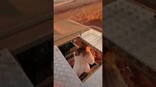 A Wolwedans Experience