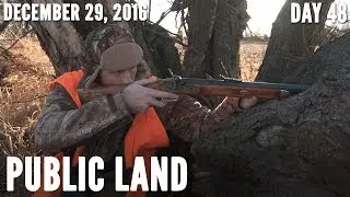 Public Land Day 48: Hunting Standing Corn | Midwest Whitetail