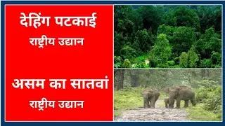 Dehing Patkai National Park, Assam || Dehing Patkai National Park in Hindi || Current Affairs