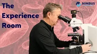 Natural Benefits of Separated Red Blood Cells
