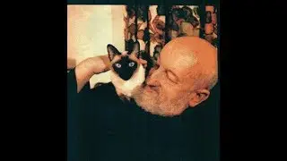 Cats are Spiritually Evolved and Intelligent