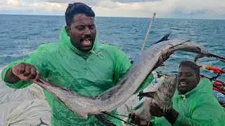 இன்னைக்கு பிடிச்ச மீன்களைப் பாருங்கள்