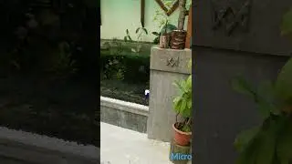amazing fish tank concrete and glass