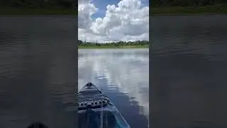 Прекрасный день! #амазонка #рыбалка #мощнаярыбалка #каякеры