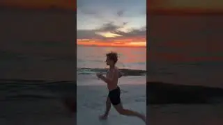 florida sunsets are undefeated