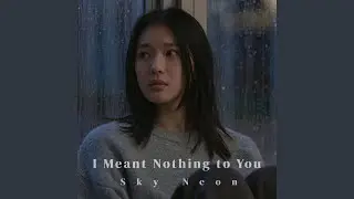 I Meant Nothing to You