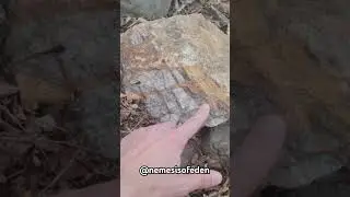 I Found An Iron Ore Block #nemesisofeden #nature #geology #minecraft #ore #iron #rust #canada