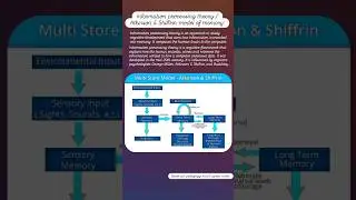 Information Processing Theory|Atkinson Shiffrin three stage model of memory#dsssbprtcdp#dsssbnios#yt