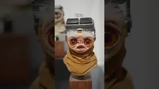 Anzellan Friends | Star Wars