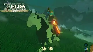 the devs didn't remember to patch this on the switch 2