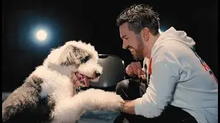 Robert Avellanet - The Dog Song (The Best of All) (Official Music Video)