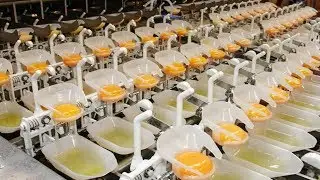 VERRÜCKTE HERSTELLUNGSPROZESSE, DIE JEDER SEHEN SOLLTE