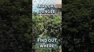 What Travel Really Looks Like?