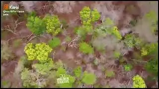 walner Santos narrando a carreira do boi pre&aacute; carreira completa