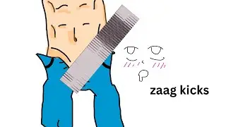 wtf are ZAAG kicks?