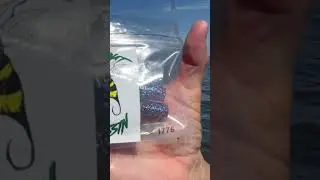 Sandgnat Assassin baits 1776 series. Go get you some!