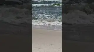 Gulf #gulf #oba #orangebeach #stg #searchthegulf #short #shorts #shortvideo #youtubeshorts #beach