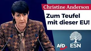 Zum Teufel mit dieser EU! &ndash; Christine Anderson (AfD)