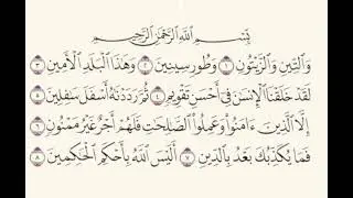 Surah At-Teen: The Ultimate Miracle of Creation! #FingerTracking