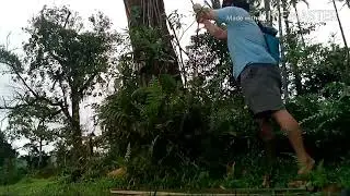 Pangunguha ng 