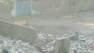 Sanjay Colony Bhatti Mines | रामलीला मैदान | कूड़े का ढेर या बच्चों का पार्क? फैसला आपका है! 🫵