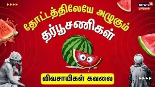 Watermelon Cultivation | தோட்டத்திலேயே அழுகும் தர்பூசணிகள் - விவசாயிகள் வேதனை | Pudukkottai