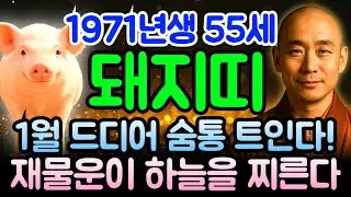 2026년 1월 돼지띠 1971년생 신해년생 55세 운세 이거 대박! 금전 쏟아지고 재물운 상승하는 신년 시기, 돼지띠 천금 잡는 골든타임 지금 바로 확인 필수입니다.