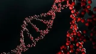(5-5) 