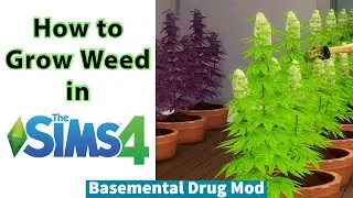 How to Grow Weed in Sims 4 // Basemental Drug Mod