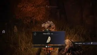 ELDEN RING　聖樹の秘割符(右)　入手場所