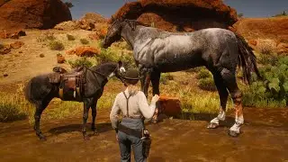 Cowgirl Finds and Tame Giant Murfree Brood's Horse Near Old Mexico