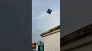 I want to fly 😭.. #shorts #kitelooting #kiteflying #kitelover #kite #patang #loot #patangwala