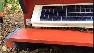 Ruche connect&eacute;e Drompy - Apiculture