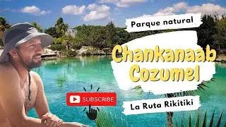 Parque natural Chankanaab Cozumel | ¿Qué hacer y cuánto cuesta? 🌴