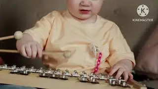 X is for Xylophone and X-ray Fish video