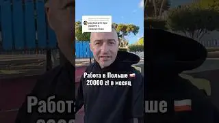 Работа в Польше на самокатах. #работа #польша