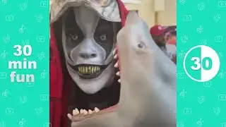 Ultimate Shark Puppet TikTok Compilation 2020 | All Shark Puppet Funny Videos